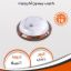 Modren acrylic flush light (wood) 95270