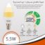 smart Candel led 5.5 watt 3 steps