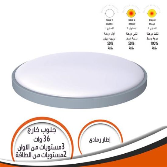 جلوب خارج الحائط 36 وات 3 مستويات الوان 2 مستوى طاقة اطار رمادى