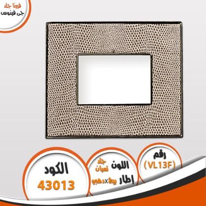 وش فيرنا جلد VL13F
