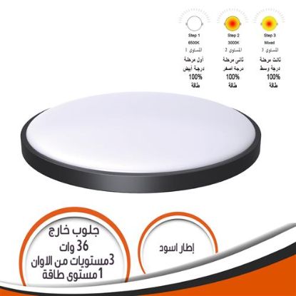 جلوب خارج الحائط 36 وات 3 مستويات الوان اطار أسود
