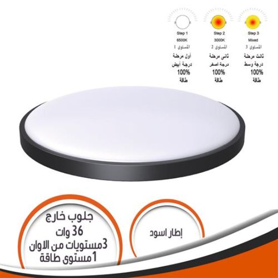 جلوب خارج الحائط 36 وات 3 مستويات الوان اطار أسود