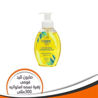 صابون فومى لليدين زهرة نسمة استوائية