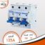 MCB Automatic Miniature Breaker3p 125A