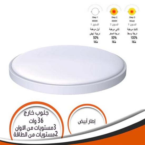 جلوب خارج الحائط 36 وات 3 مستويات الوان 2 مستوى طاقة اطار أبيض