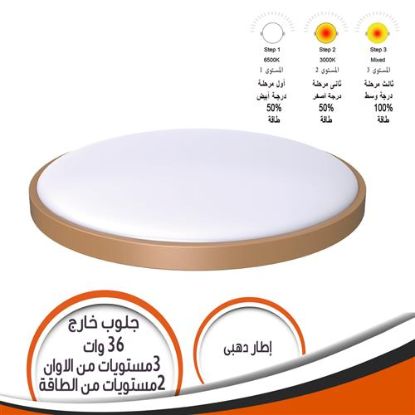 جلوب خارج الحائط 36 وات 3 مستويات الوان 2 مستوى طاقة اطار ذهبى