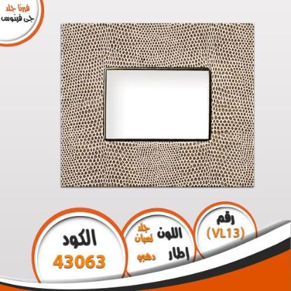 وش فيرنا جلد VL13