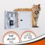 Tiger Bone 36-Line Copper Plate V15-MCB