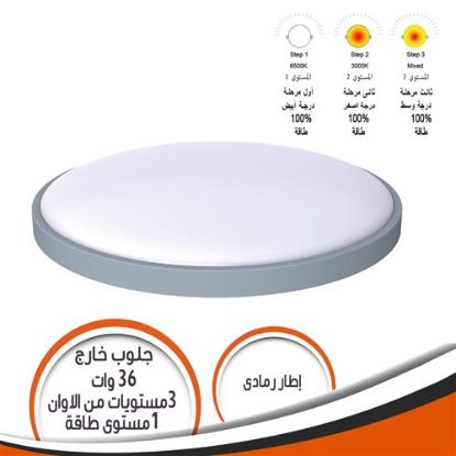 جلوب خارج الحائط 36 وات 3 مستويات الوان اطار رمادى