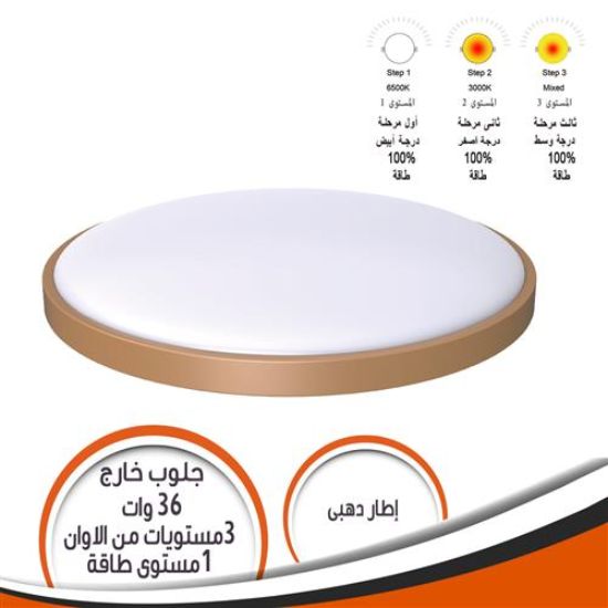 جلوب خارج الحائط 36 وات 3 مستويات الوان اطار ذهبى
