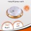 Modren acrylic flush light (gold) 95187