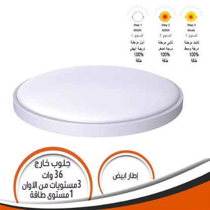 جلوب خارج الحائط 36 وات 3 مستويات الوان اطار أبيض
