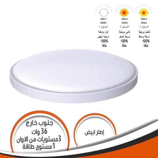 جلوب خارج الحائط 36 وات 3 مستويات الوان اطار أبيض