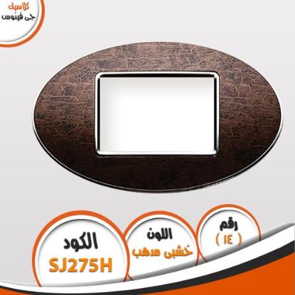 وش كلاسيك بدون فريم جى فينوس 14