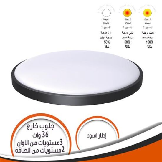 جلوب خارج الحائط 36 وات 3 مستويات الوان 2 مستوى طاقة اطار أسود