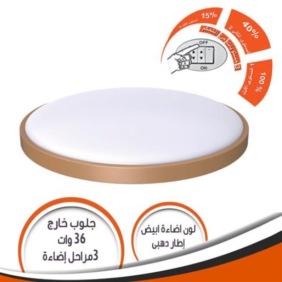 جلوب خارج الحائط أبيض 3 مستويات اطار ذهبى
