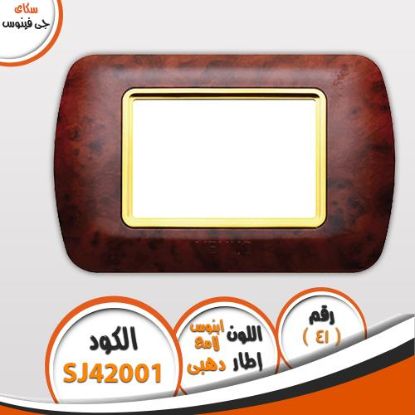 وش سكاى جى فينوس 41