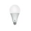 GLX white LED bulbs