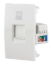 Seven Computer Socket Module Cat6
