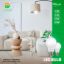 Globe bulb 5 W - Electro Misr - Lumax